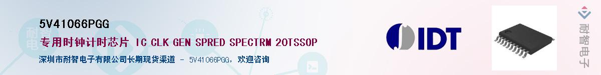 5V41066PGG������-�������