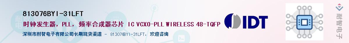 813076BYI-31LFT������-�������