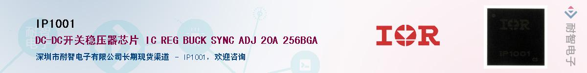 IP1001������-�������