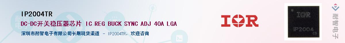 IP2004TR������-�������