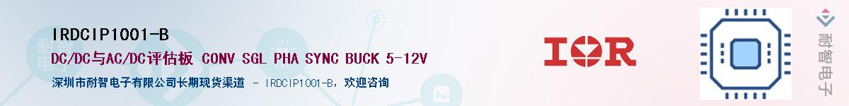 IRDCIP1001-B����(y��ng)��-�������