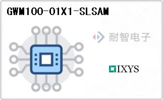 GWM100-01X1-SLSAM
