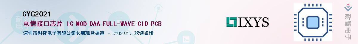 CYG2021������-�������