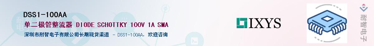 DSS1-100AA������-�������