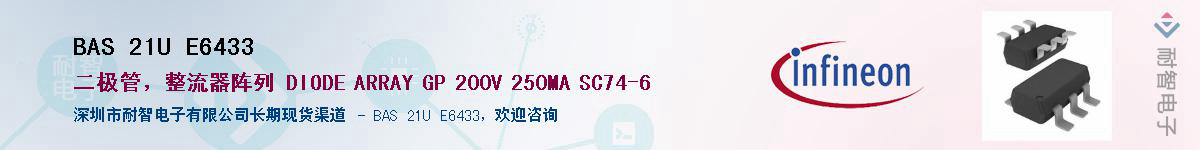 BAS 21U E6433������-�������