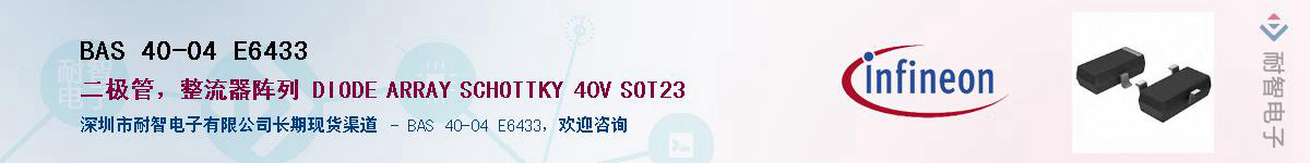 BAS 40-04 E6433������-�������