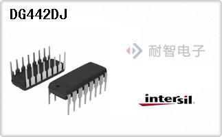 DG442DJ