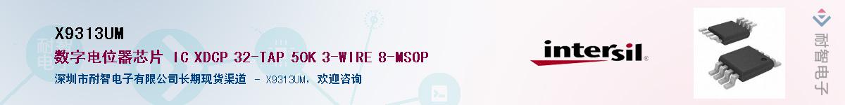 X9313UM������-�������