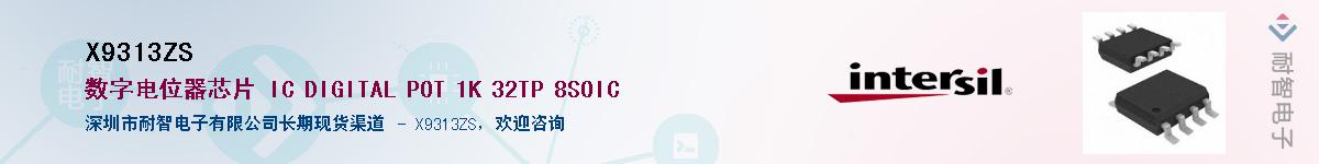 X9313ZS������-�������