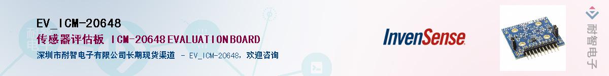 EV_ICM-20648������-�������