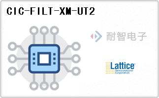 CIC-FILT-XM-UT2