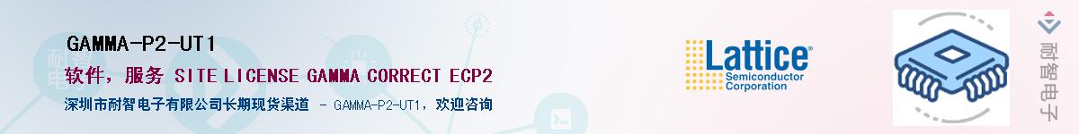 GAMMA-P2-UT1����(y��ng)��-�������