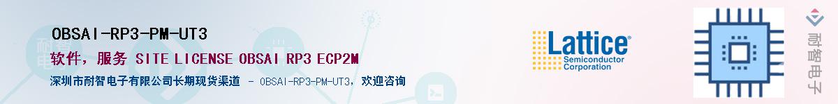 OBSAI-RP3-PM-UT3������-�������