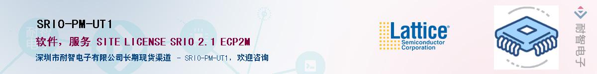 SRIO-PM-UT1������-�������