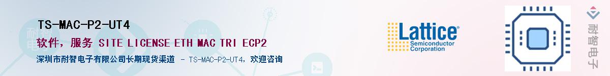 TS-MAC-P2-UT4������-�������