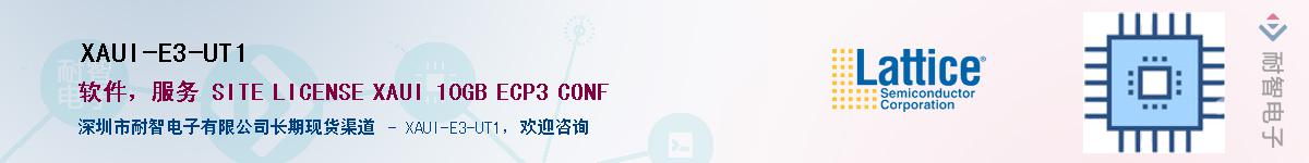 XAUI-E3-UT1������-�������