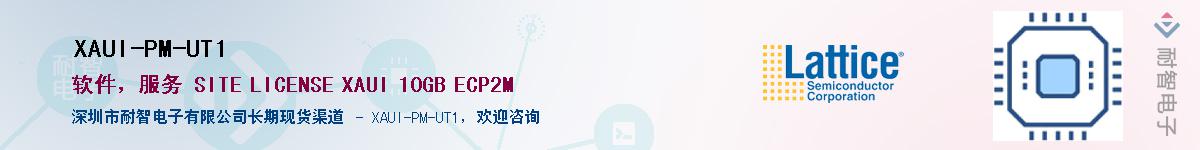 XAUI-PM-UT1������-�������