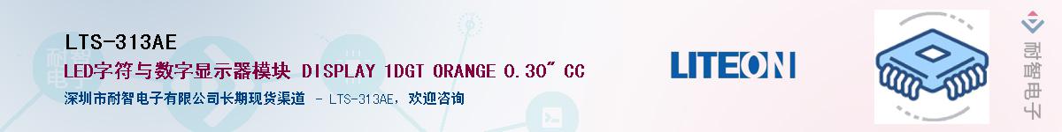 LTS-313AE������-�������