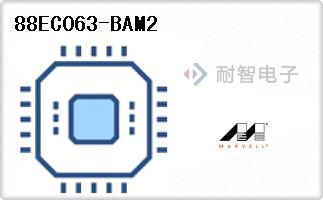 88EC063-BAM2