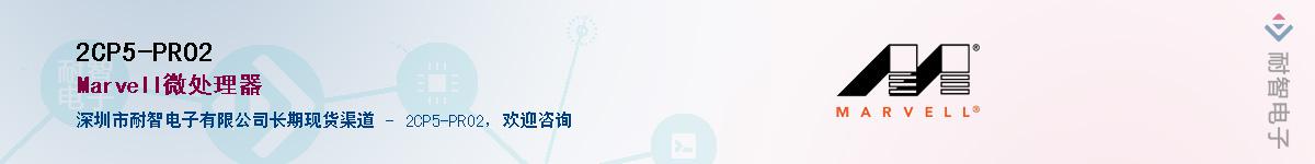 2CP5-PRO2������-�������