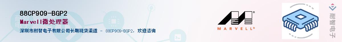 88CP909-BGP2������-�������