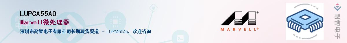 LUPCA55AO����(y��ng)��-�������