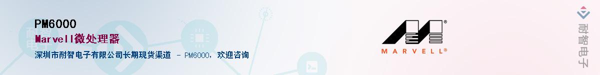 PM6000������-�������