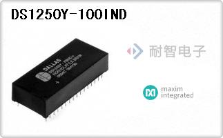 DS1250Y-100IND