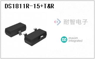 DS1811R-15+T&R