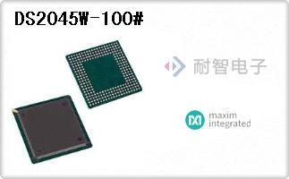 DS2045W-100#
