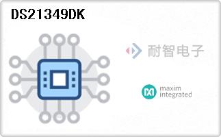 DS21349DK