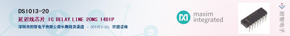 DS1013-20������-�������