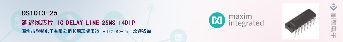 DS1013-25������-�������