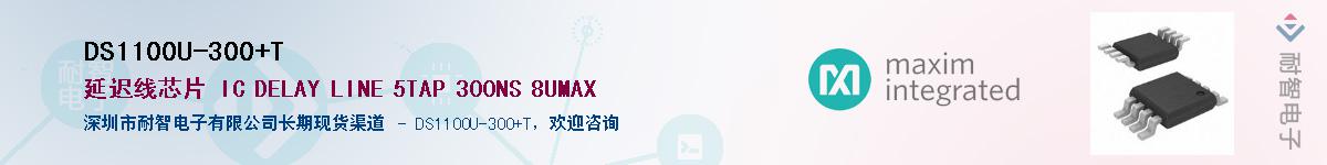 DS1100U-300+T������-�������