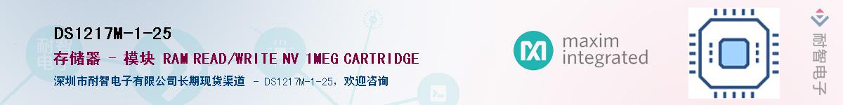 DS1217M-1-25������-�������