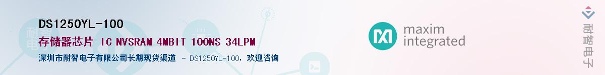 DS1250YL-100������-�������