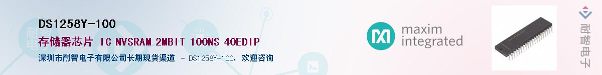 DS1258Y-100������-�������