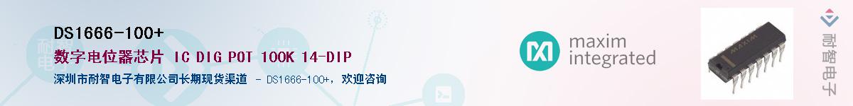 DS1666-100+������-�������