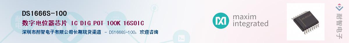 DS1666S-100������-�������