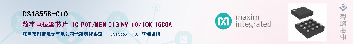 DS1855B-010������-�������