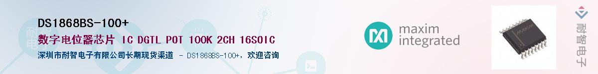 DS1868BS-100+������-�������