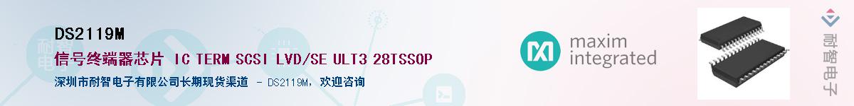 DS2119M������-�������