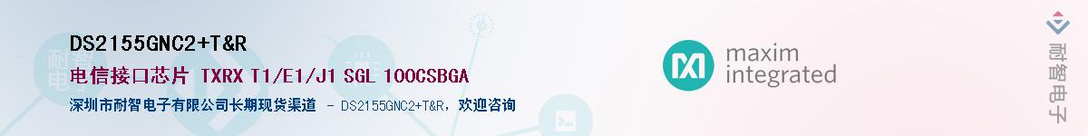 DS2155GNC2+T&R������-�������
