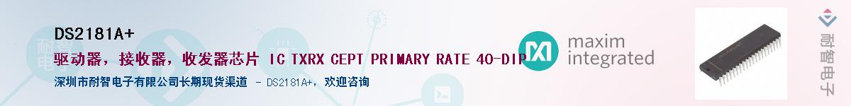 DS2181A+������-�������