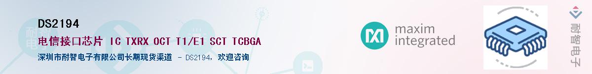 DS2194������-�������