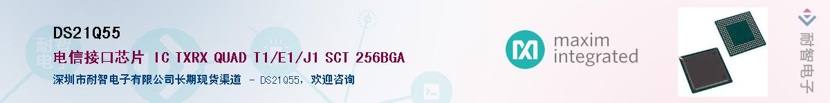 DS21Q55������-�������