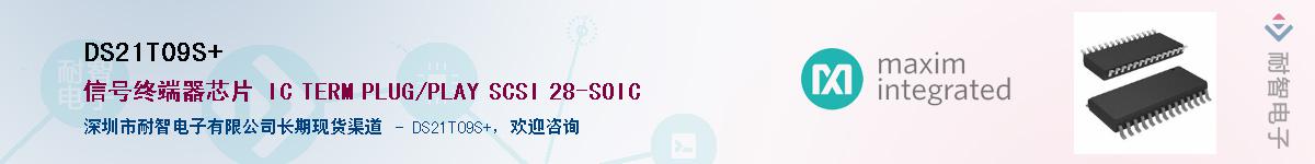 DS21T09S+������-�������