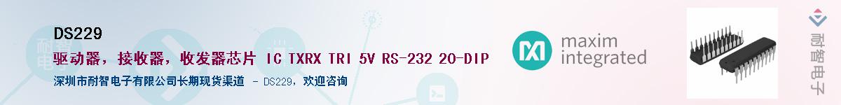 DS229������-�������