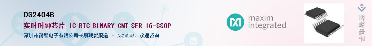 DS2404B������-�������