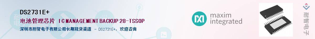 DS2731E+������-�������